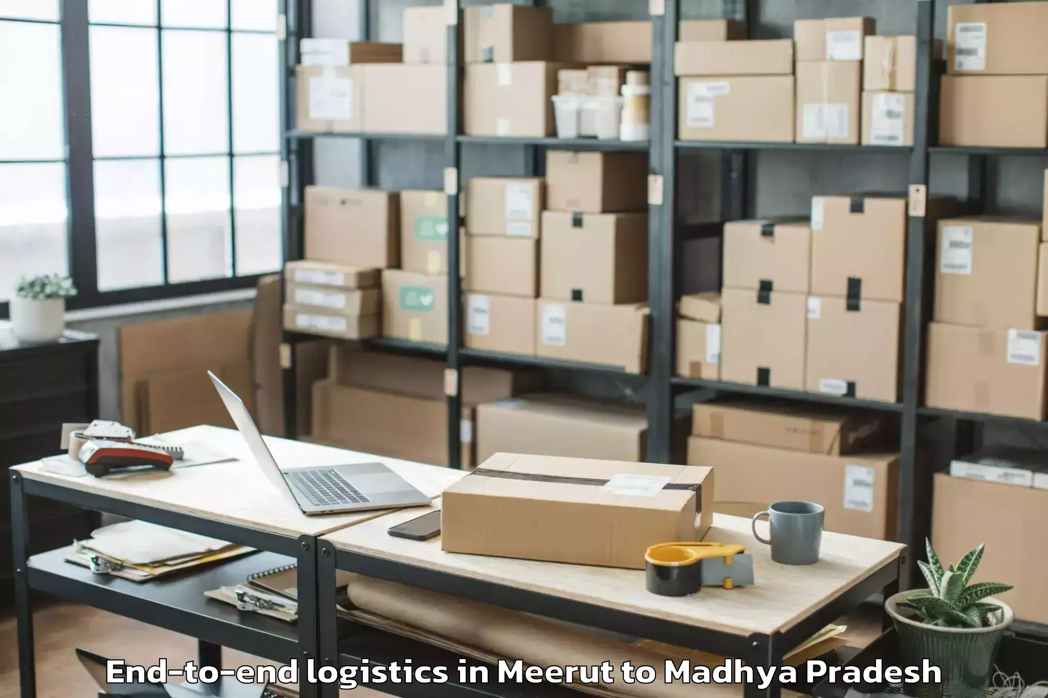 Trusted Meerut to Mungaoli End To End Logistics